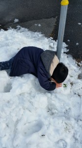 雪合戦
