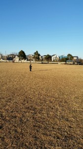 新年明けましておめでとうございます