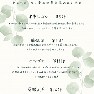 ポリッシュプチプラメニュー